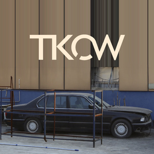 孟狐狸图片大全高清
