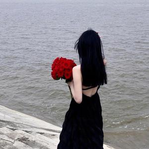 孟狐狸图片大全高清
