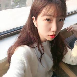 孟狐狸图片大全高清
