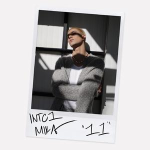 孟狐狸图片大全高清
